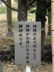 鹿嶋神社の建物その他