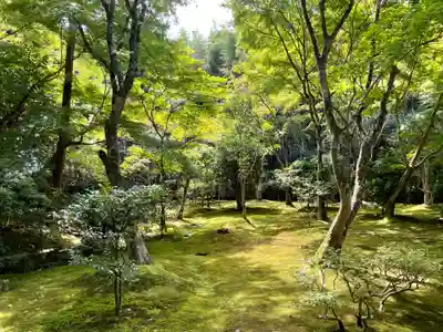 慈照寺（慈照禅寺・銀閣寺）(京都府)