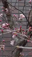 相馬神社(北海道)