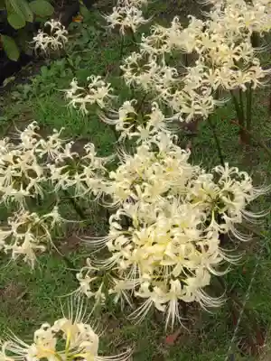 横浜　西方寺(神奈川県)