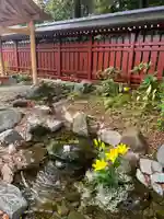 武蔵一宮氷川神社(埼玉県)