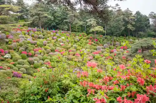 塩船観音寺(東京都)