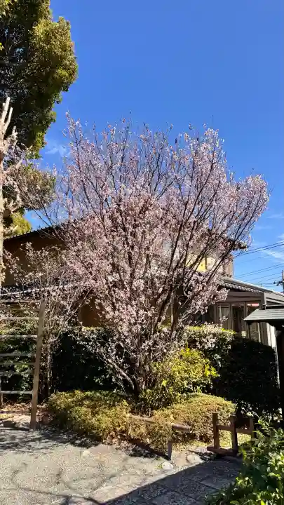 松陰神社の{uncategorized: "未分類", other: "その他", undefined: "問題あり", building: "その他建物", grave: "お墓", sacred_gate: "鳥居", guardian: "狛犬", statue: "像", buddha: "仏像", history: "歴史", nature: "自然", garden: "庭園", animal: "動物", pagoda: "塔", temizu: "手水舎", mountain_gate: "山門・神門", sanctuary: "本殿・本堂", subordinate: "末社・摂社", art: "芸術", scenery: "景色", jizo: "地蔵", ema: "絵馬", goshuin: "御朱印", omikuji: "おみくじ", items: "授与品その他", amulet: "お守り", goshuincho: "御朱印帳", eats: "食事", festival: "お祭り", votive_dance: "神楽", shichigosan: "七五三参", wedding: "結婚式", experience: "体験その他", initially: "初詣", around: "周辺", anti_infection: "感染症対策"}