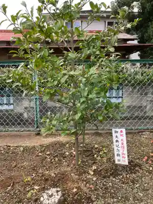 熊野神社(神奈川県)