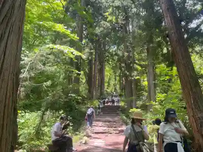 戸隠神社奥社(長野県)