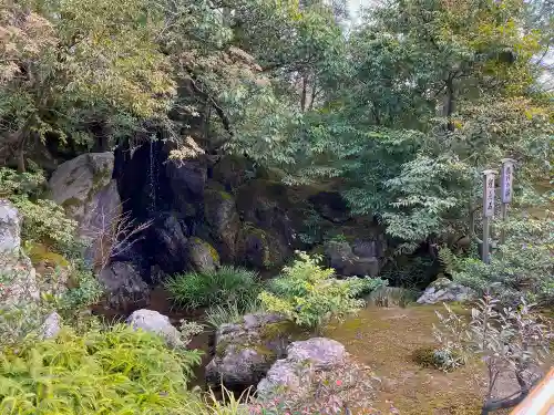 鹿苑寺（金閣寺）の庭園