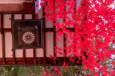 冨士山稲荷神社(長野県)