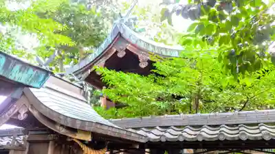 白山社の本殿・本堂