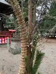 木幡神社(栃木県)