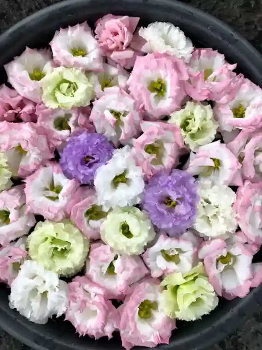 鹿島台神社の手水舎