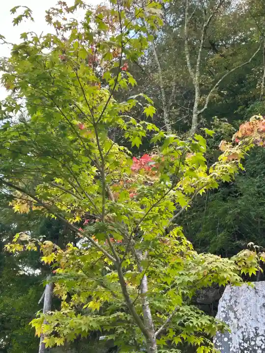 北向観音(長野県)
