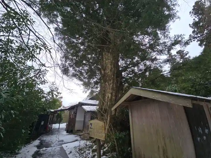 岩湧寺(大阪府)