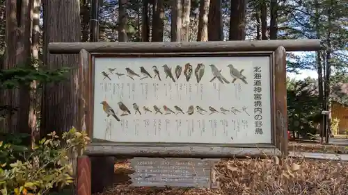 北海道神宮の動物
