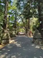 岩槻久伊豆神社(埼玉県)