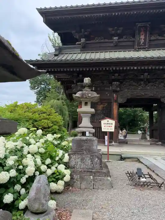 妻沼聖天山歓喜院(埼玉県)