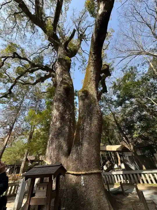 伊弉諾神宮の{uncategorized: "未分類", other: "その他", undefined: "問題あり", building: "その他建物", grave: "お墓", sacred_gate: "鳥居", guardian: "狛犬", statue: "像", buddha: "仏像", history: "歴史", nature: "自然", garden: "庭園", animal: "動物", pagoda: "塔", temizu: "手水舎", mountain_gate: "山門・神門", sanctuary: "本殿・本堂", subordinate: "末社・摂社", art: "芸術", scenery: "景色", jizo: "地蔵", ema: "絵馬", goshuin: "御朱印", omikuji: "おみくじ", items: "授与品その他", amulet: "お守り", goshuincho: "御朱印帳", eats: "食事", festival: "お祭り", votive_dance: "神楽", shichigosan: "七五三参", wedding: "結婚式", experience: "体験その他", initially: "初詣", around: "周辺", anti_infection: "感染症対策"}