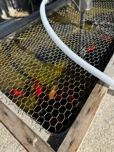 岸和田天神宮の{uncategorized: "未分類", other: "その他", undefined: "問題あり", building: "その他建物", grave: "お墓", sacred_gate: "鳥居", guardian: "狛犬", statue: "像", buddha: "仏像", history: "歴史", nature: "自然", garden: "庭園", animal: "動物", pagoda: "塔", temizu: "手水舎", mountain_gate: "山門・神門", sanctuary: "本殿・本堂", subordinate: "末社・摂社", art: "芸術", scenery: "景色", jizo: "地蔵", ema: "絵馬", goshuin: "御朱印", omikuji: "おみくじ", items: "授与品その他", amulet: "お守り", goshuincho: "御朱印帳", eats: "食事", festival: "お祭り", votive_dance: "神楽", shichigosan: "七五三参", wedding: "結婚式", experience: "体験その他", initially: "初詣", around: "周辺", anti_infection: "感染症対策"}