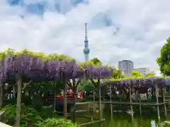 亀戸天神社の庭園