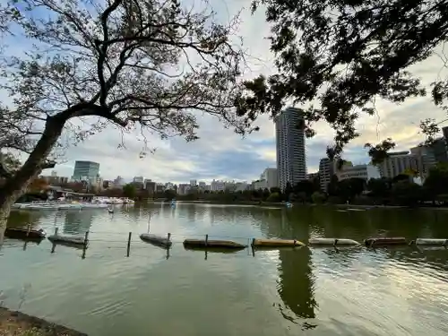 寛永寺不忍池弁天堂の自然