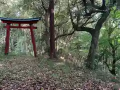 子大権現の鳥居