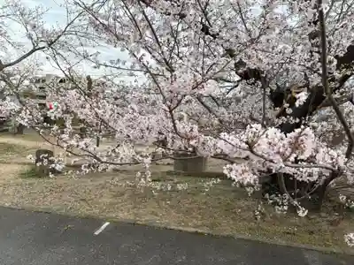 兵庫縣神戸護國神社(兵庫県)