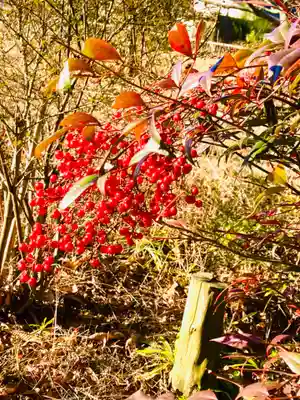 冨士浅間神社(茨城県)