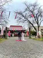 伊達神社(北海道)