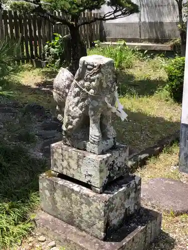 春日神社の狛犬