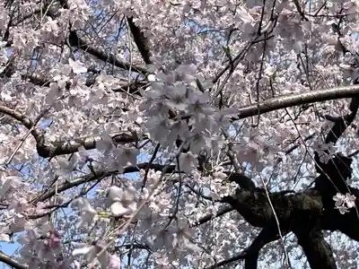 日蓮宗　浄運寺(東京都)