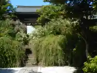 海蔵寺の山門・神門