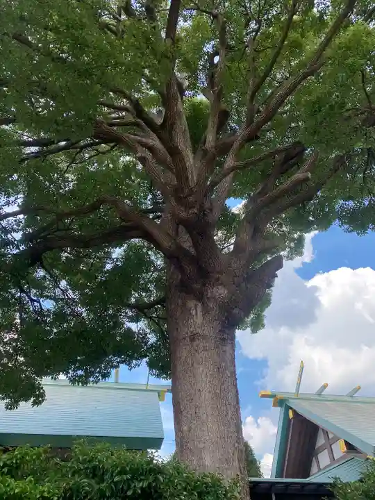 髙部屋神社(神奈川県)