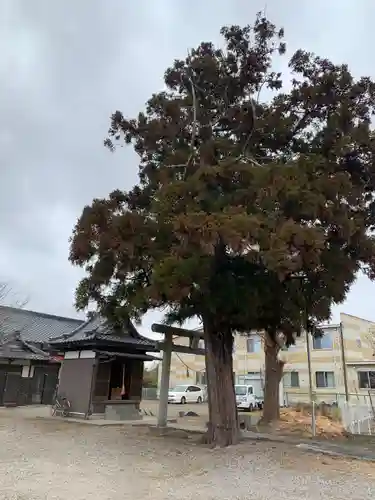 保食神社(千葉県)