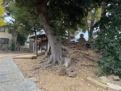 稲荷神社(千葉県)