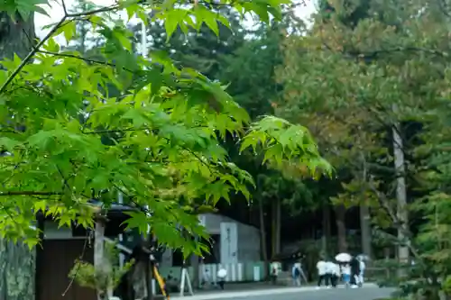 諏訪大社(長野県)