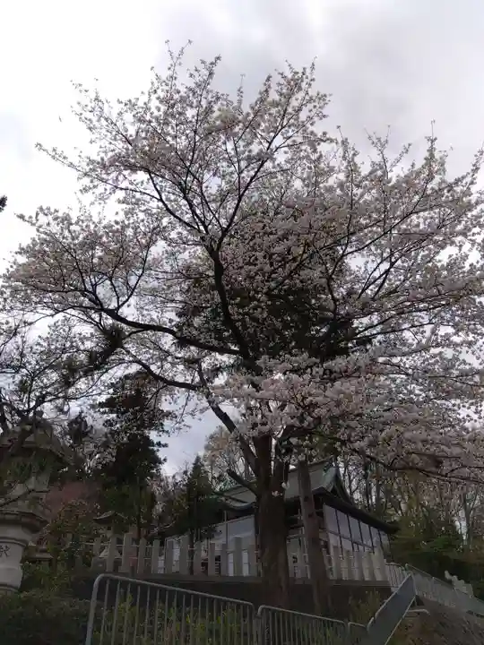 熊野神社(福井県)
