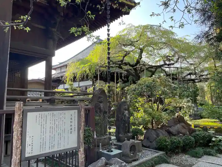 玉蔵院(埼玉県)