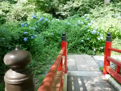 泰寧寺のその他建物