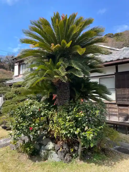 大寳寺の{uncategorized: "未分類", other: "その他", undefined: "問題あり", building: "その他建物", grave: "お墓", sacred_gate: "鳥居", guardian: "狛犬", statue: "像", buddha: "仏像", history: "歴史", nature: "自然", garden: "庭園", animal: "動物", pagoda: "塔", temizu: "手水舎", mountain_gate: "山門・神門", sanctuary: "本殿・本堂", subordinate: "末社・摂社", art: "芸術", scenery: "景色", jizo: "地蔵", ema: "絵馬", goshuin: "御朱印", omikuji: "おみくじ", items: "授与品その他", amulet: "お守り", goshuincho: "御朱印帳", eats: "食事", festival: "お祭り", votive_dance: "神楽", shichigosan: "七五三参", wedding: "結婚式", experience: "体験その他", initially: "初詣", around: "周辺", anti_infection: "感染症対策"}