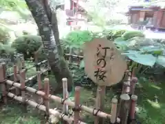 寂光院(京都府)