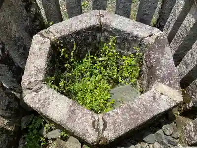 日吉大社(滋賀県)