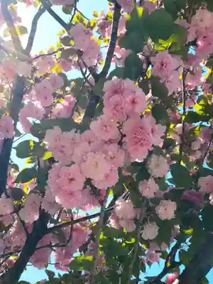 久富稲荷神社(東京都)