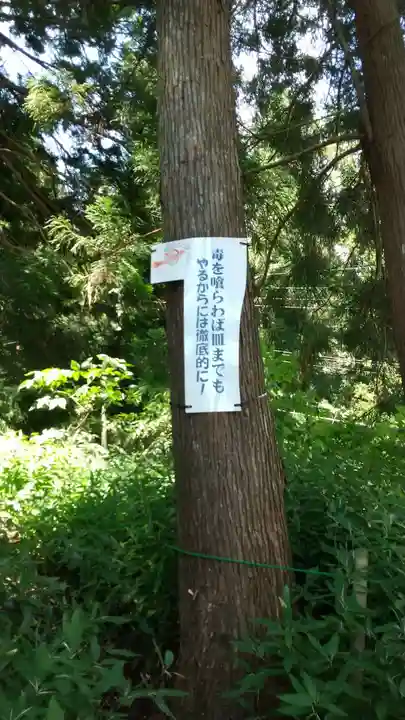 一矢神社の自然