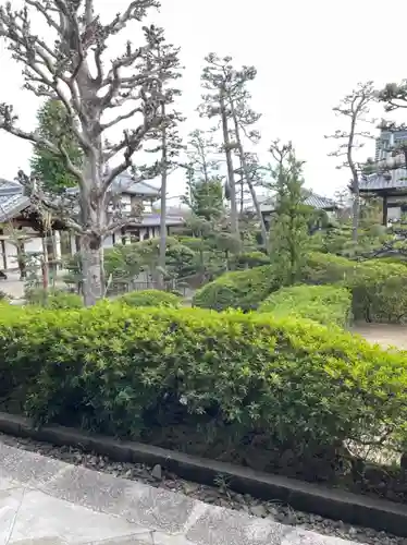 法雲寺の庭園