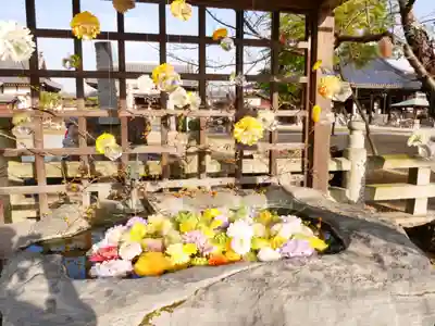 金倉寺の手水舎