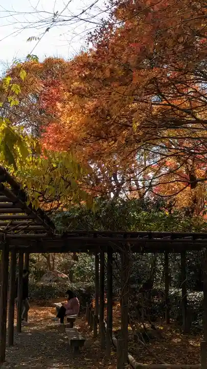 龍安寺(京都府)