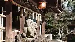筑波山神社の狛犬