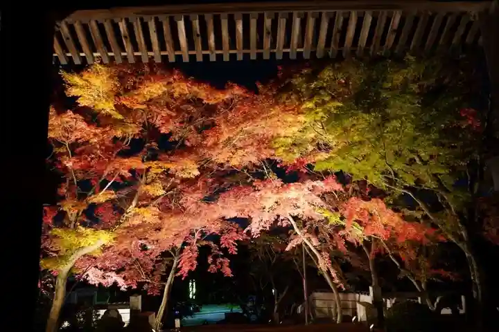 蓮光寺(山口県)
