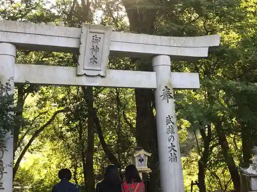 武雄神社の鳥居