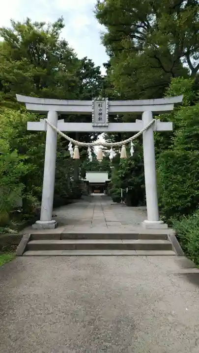 星川杉山神社の鳥居