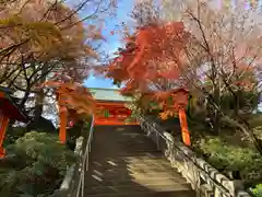 穴八幡宮の自然